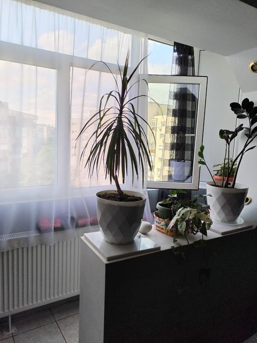 Apartament de vanzare Drumul Taberei