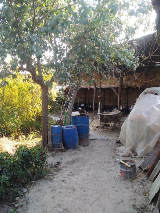 Таер катта ховли сотилади