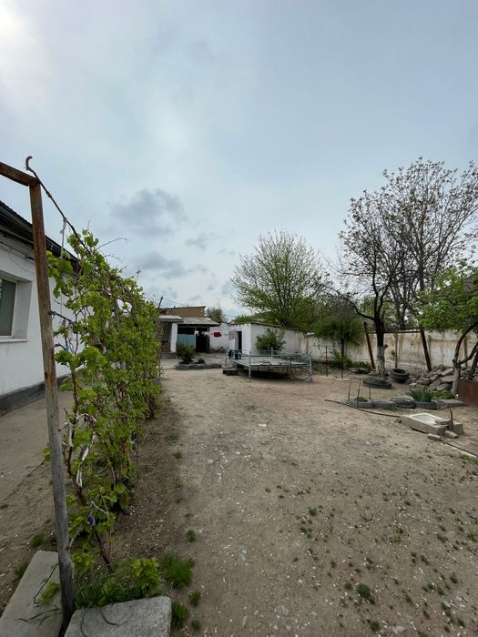 Түркістан обл,Арыс қаласы Ергөбек 6 үй.