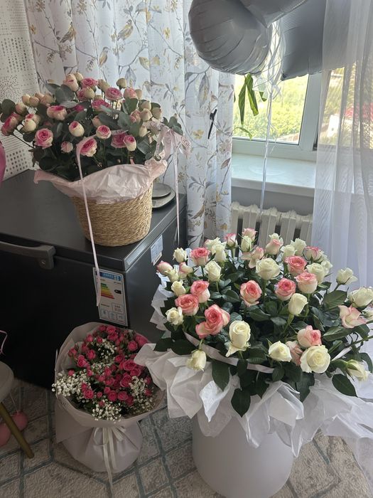 18,08 келли еще свеж