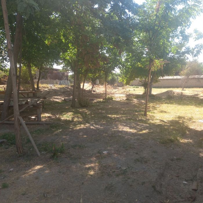 Yer sotlvot 3,5 sotik yer 1 sotik 5000$ dan kelshamza yana