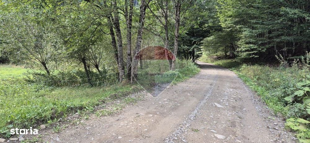 Teren de vis de 2.800 mp pe Valea Tărcăului – Cu lac natural și pădure