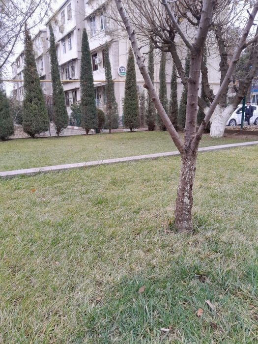 УБОРКА ОГОРОДА Помогу с уборкой участка  перевести порядок
Ванна • кух