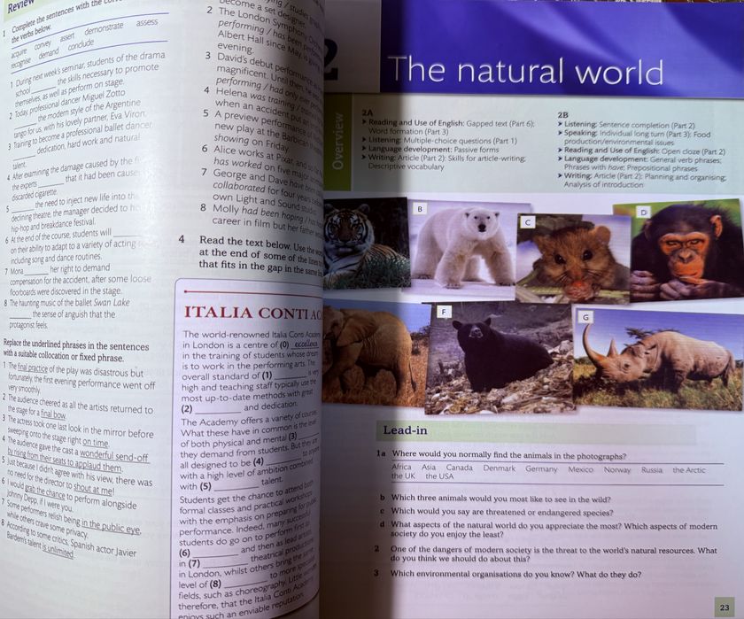 Expert Proficiency C2