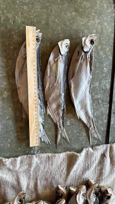 Рыба вяленая, копченая . Чехонь, Вобла, Лещ.