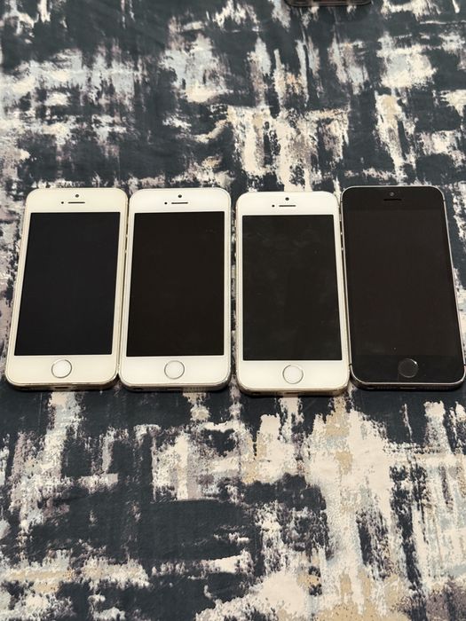 iPhone 5s Perfect Functionale