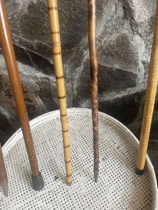 Vind cirje ptr colectionari