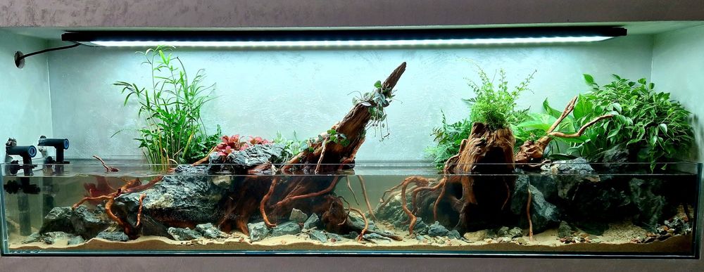 Acvarii Amenajare Intretinere Constructie