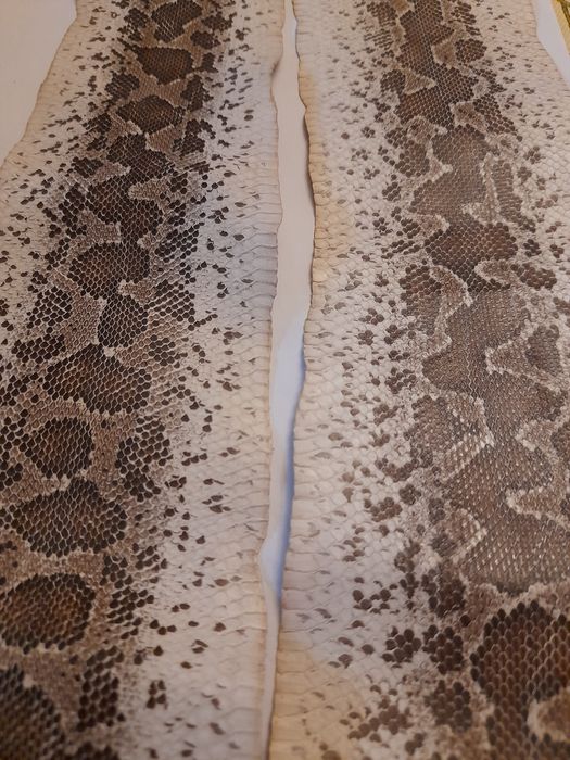 Vând piele tatu și șarpe