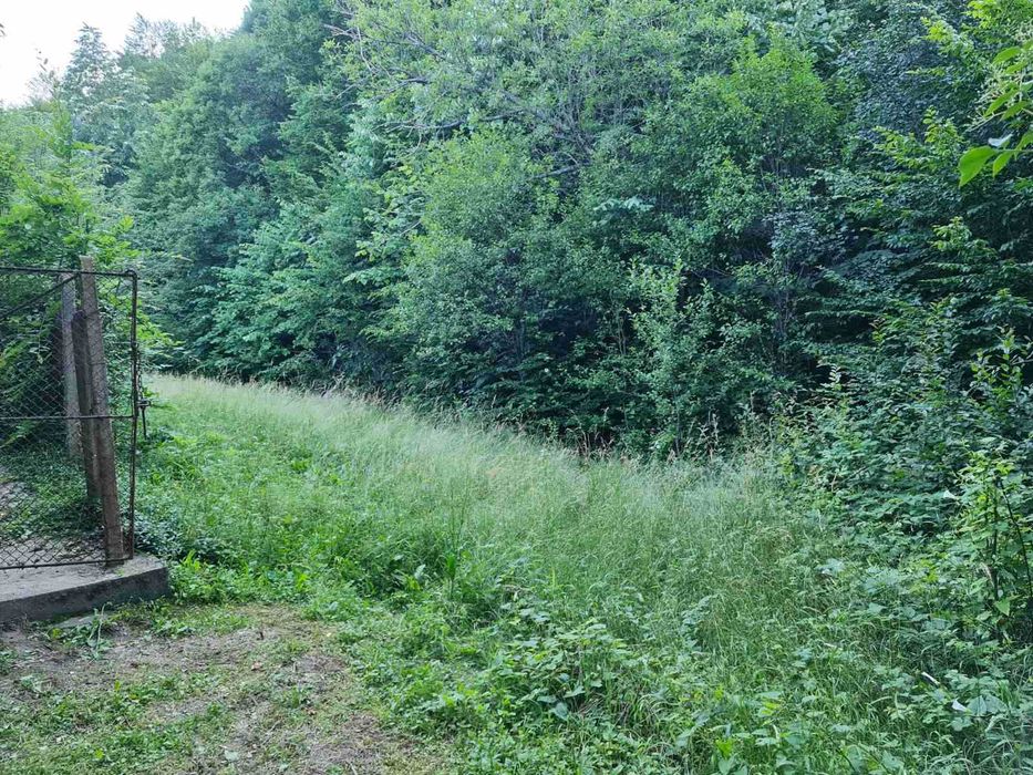 Продава се Парцел в Габрово, Бичкиня - 1200 кв.м за 3 €/кв.м - Снимка #1