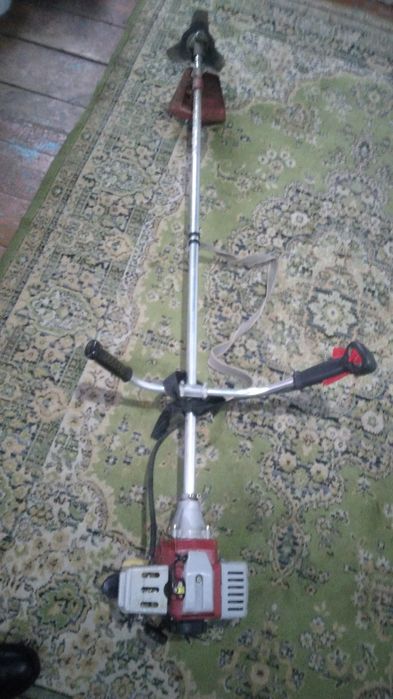 Семей арабски раён