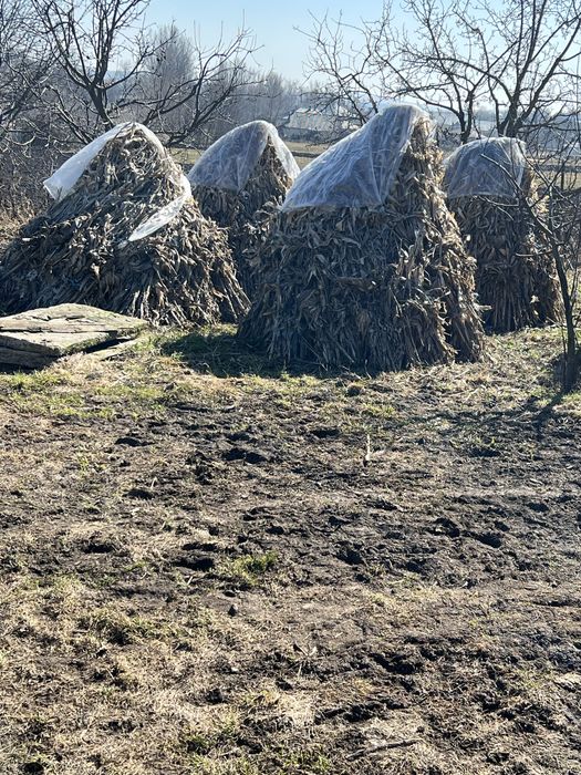 Vand strujeni si baloti de fan
