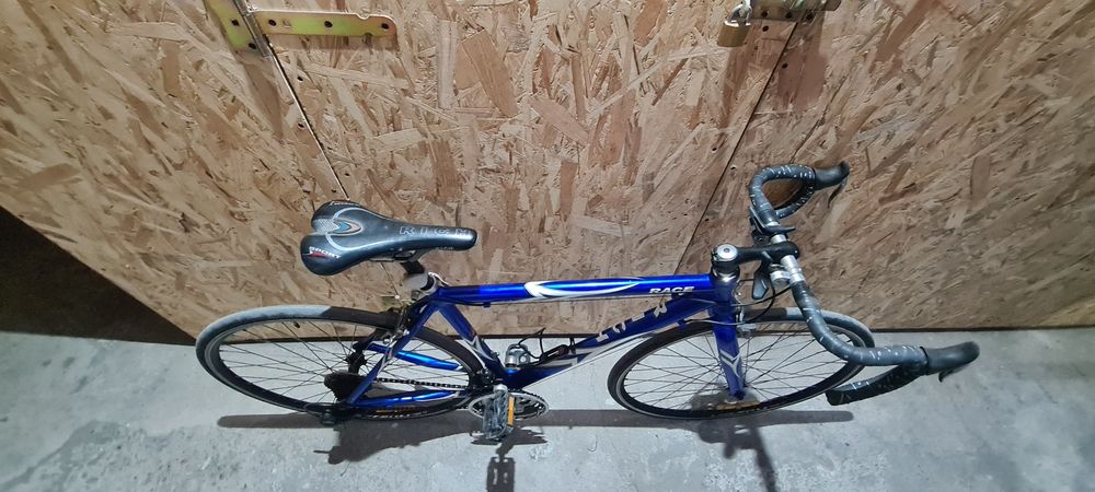 Vand cursiera albastra
