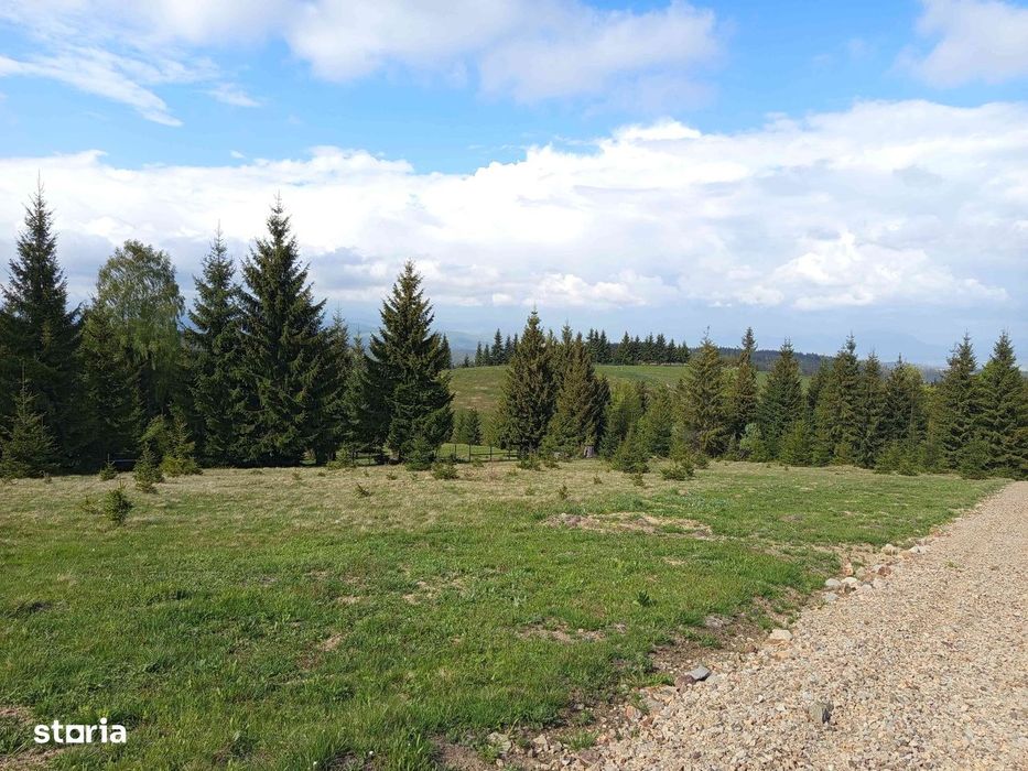 Teren De Vânzare Piatra Fântânele/Tihuța