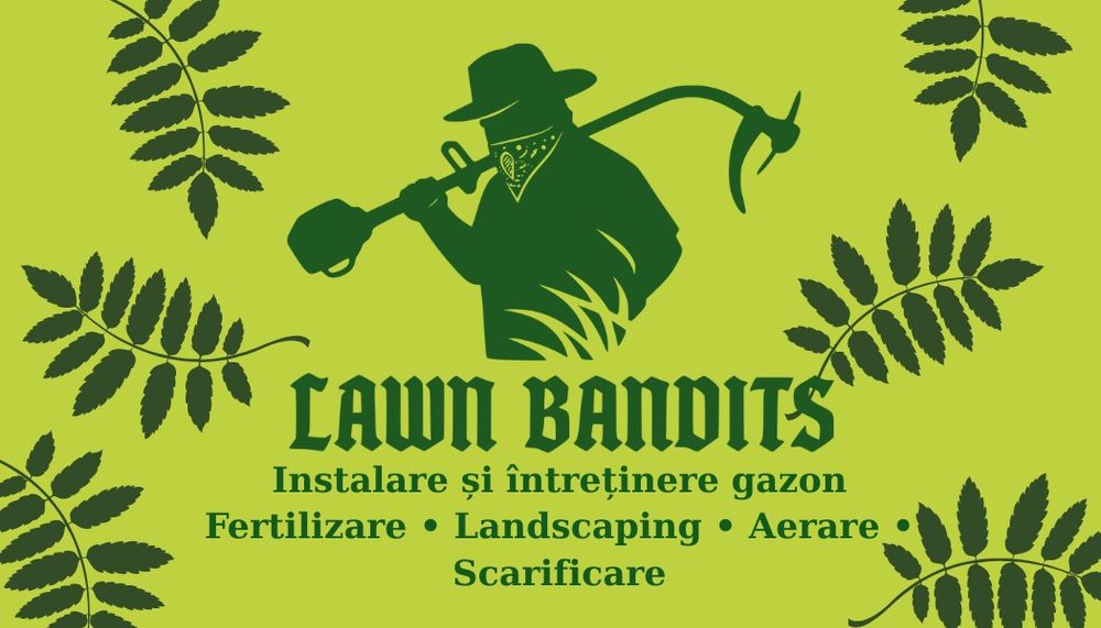 Scarificare profesionala a gazonului - Revitalizeaza-ti gazonul!