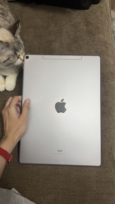 iPad Pro 12.9, Cellular / 64GB