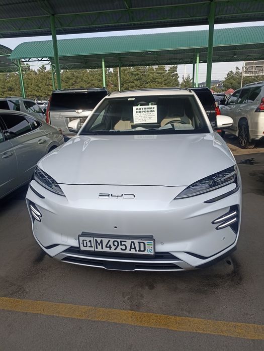 BYD song plus CHEMPION