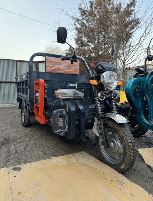 Трициклы Муравей