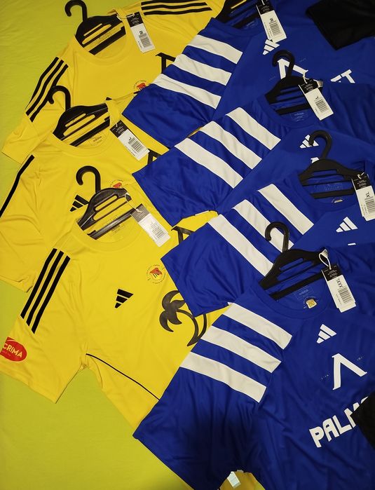 Юбилейни мачови фланелки, Левски София на 110г. - сезон 24/25г.