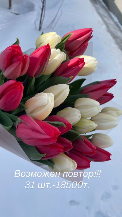 Тюльпаны к 8 марта