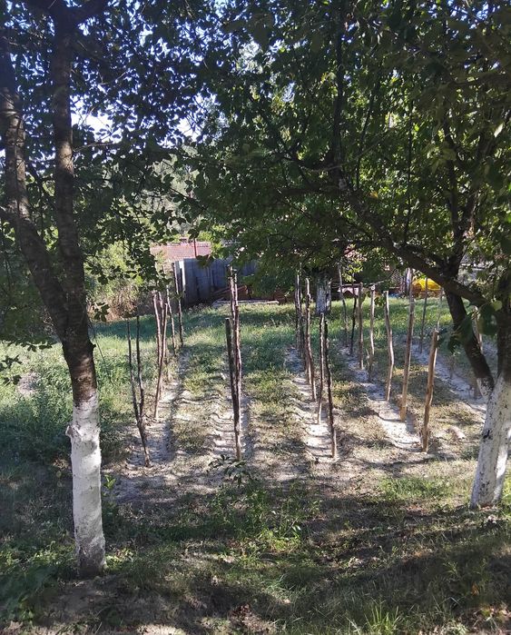 Продава се Къща в с. Мала Фуча, Област Кюстендил - 100 кв.м за 403 €/кв.м - Снимка #1