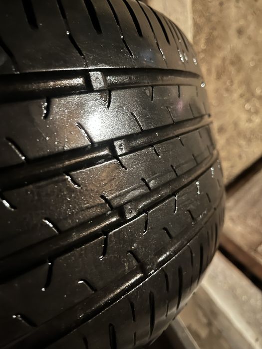 Caucicuri de vara Continental