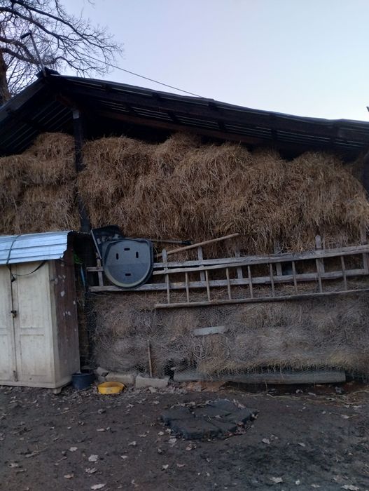 Baloți de paie de grau și fin