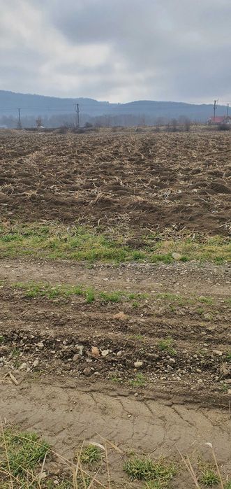 Teren intravilan sau parcele la iesire din Târgu Neamț spre Pașcani.