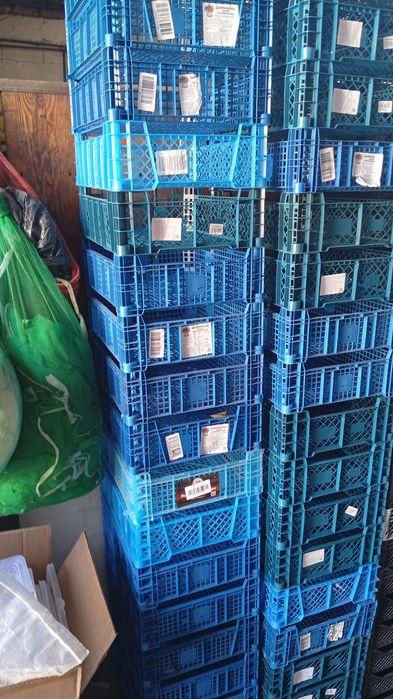 Продам ящики пластиковые