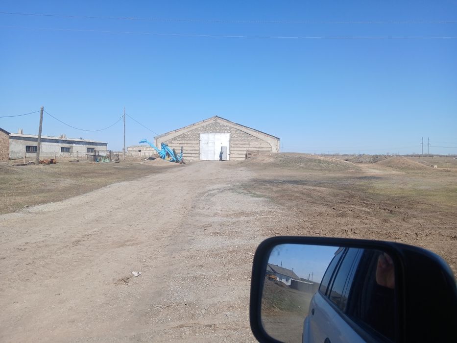 Откорм база хозяйство