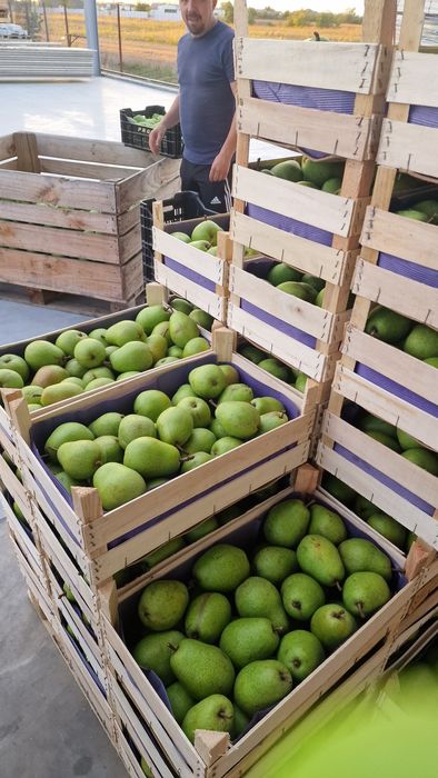 Pere lukas olanda mere