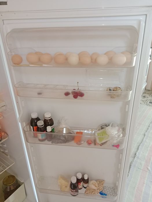 Muzlatgich ideal holatda turibdi