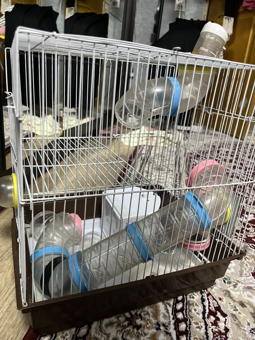 клетка для хомяка