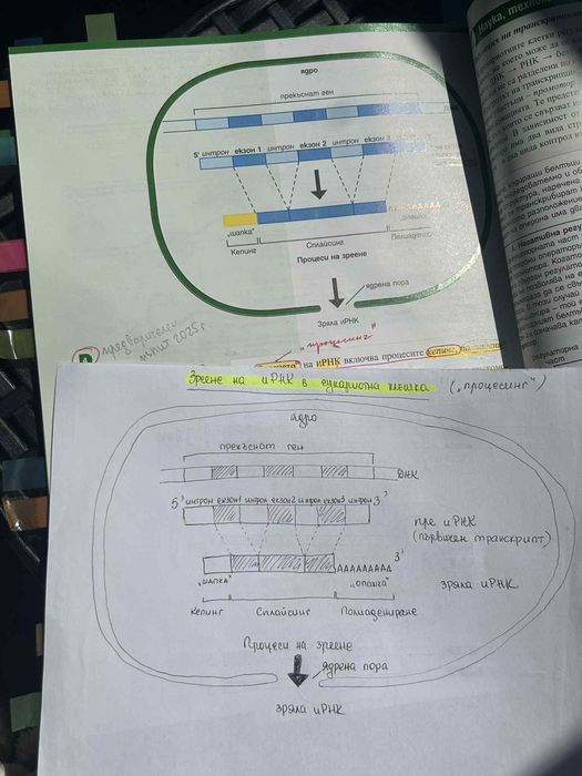 Учебници за КСК (биология)