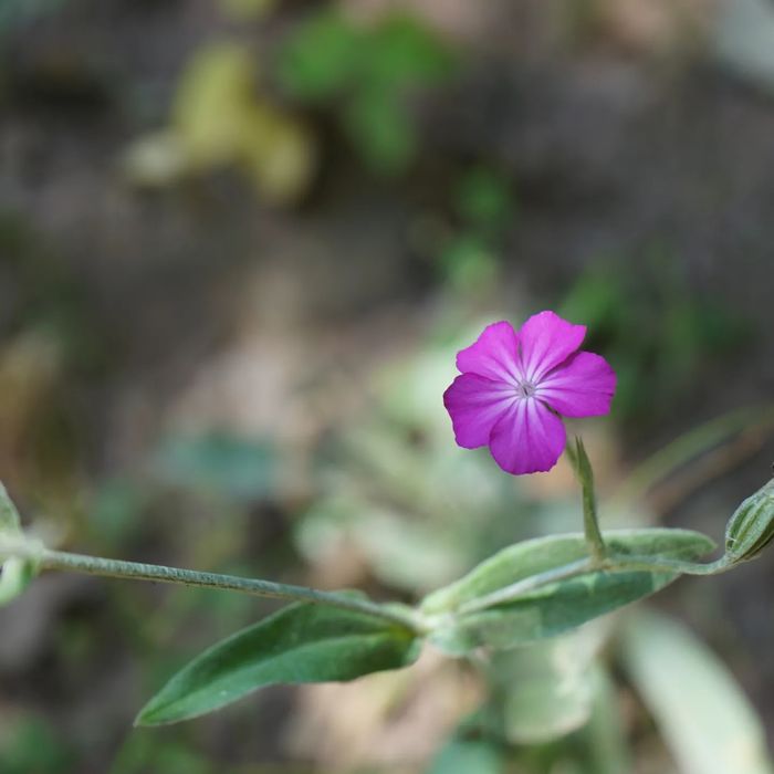 Фотограф любител