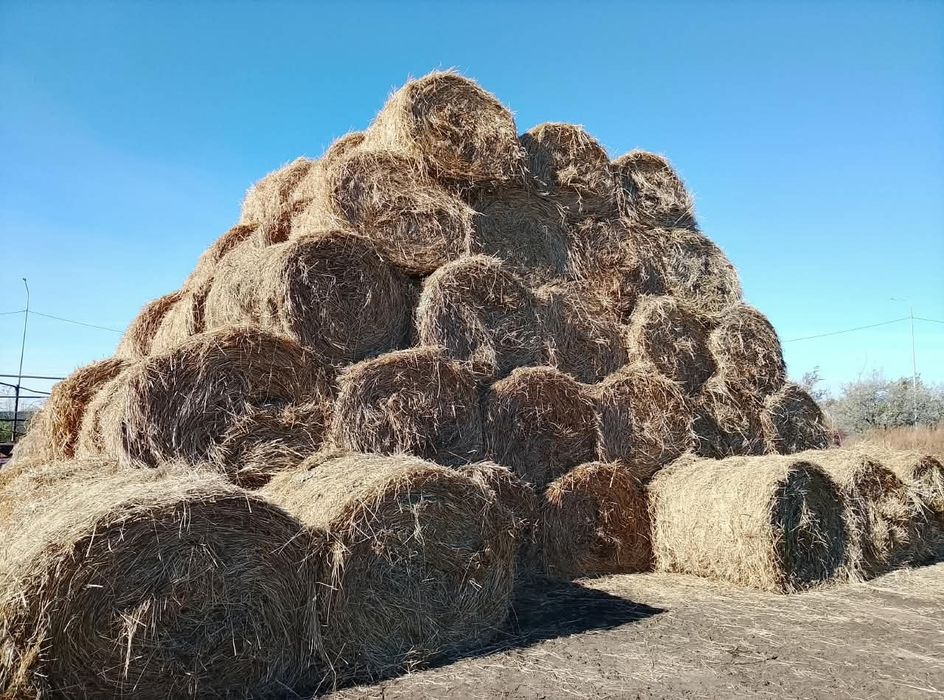 Сено.Шөп.рулон.продажа