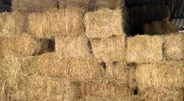 Vand baloti amestec otava, fan si lucerna