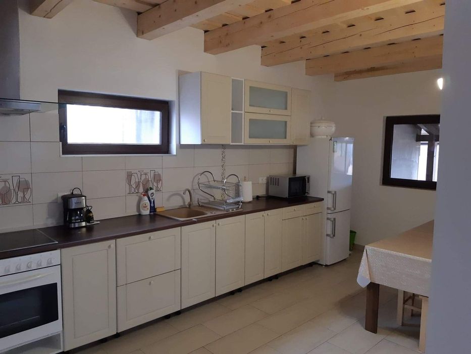 Cabana de inchiriat zona Belis