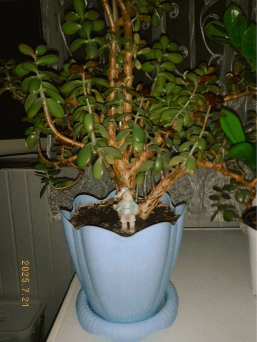 Очень много разных вещей.  1000 мелочей