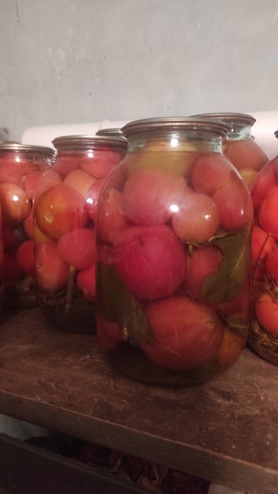 Помидоры соленые.