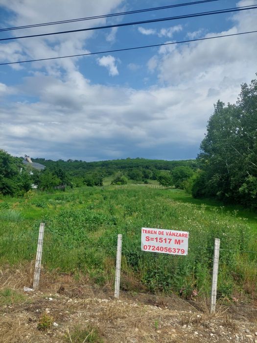 Curtișoara teren intravilan 1517 mp la stradă principală, preț excelent