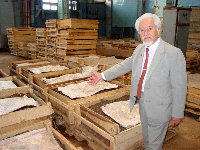 Красный калифорнийских червь.