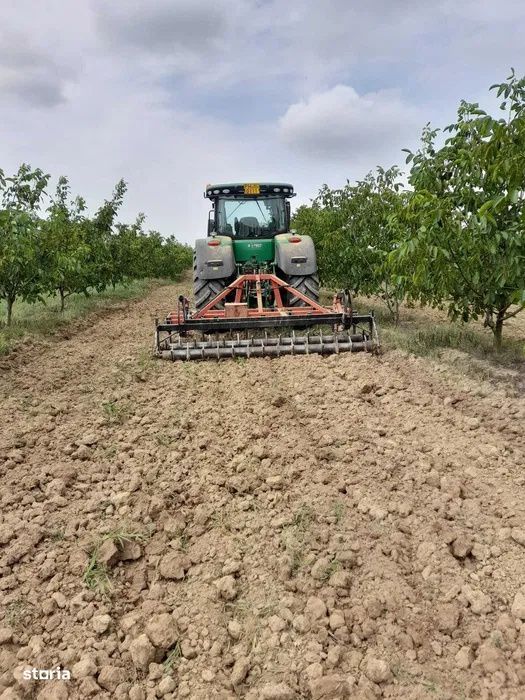 Plantatie de nuci pe rod, 14 ha, 2.000 pomi, zona Bucov