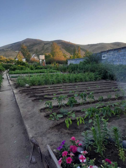 Дача СПП Темиртау торг