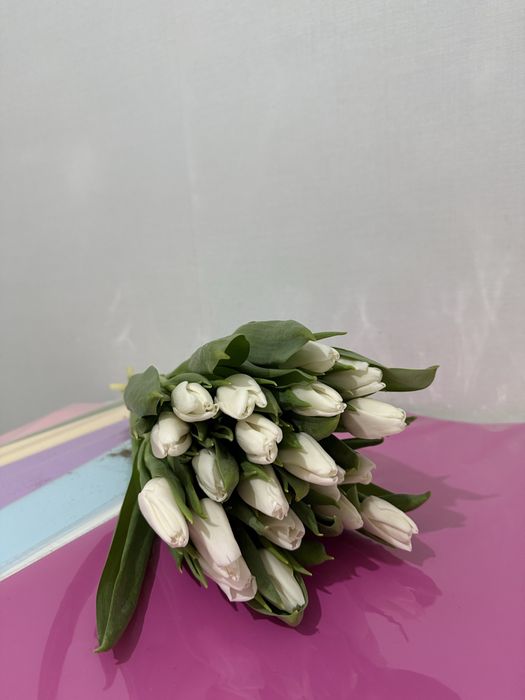 продам тюльпаны 850тг