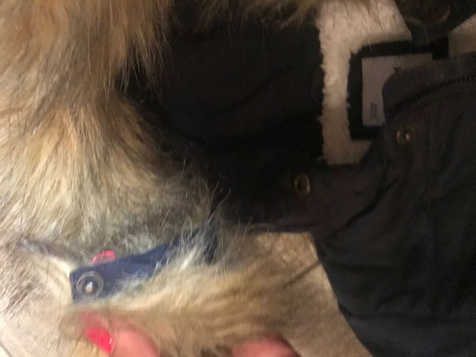 Зимно яке Losan 3-6 месеца размер 68см