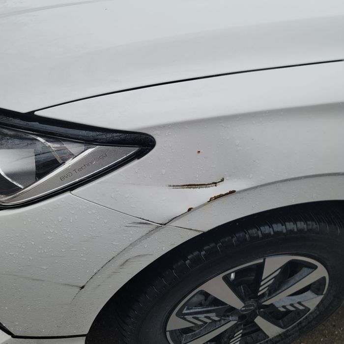 Byd e2 Camford Pozitsiya.