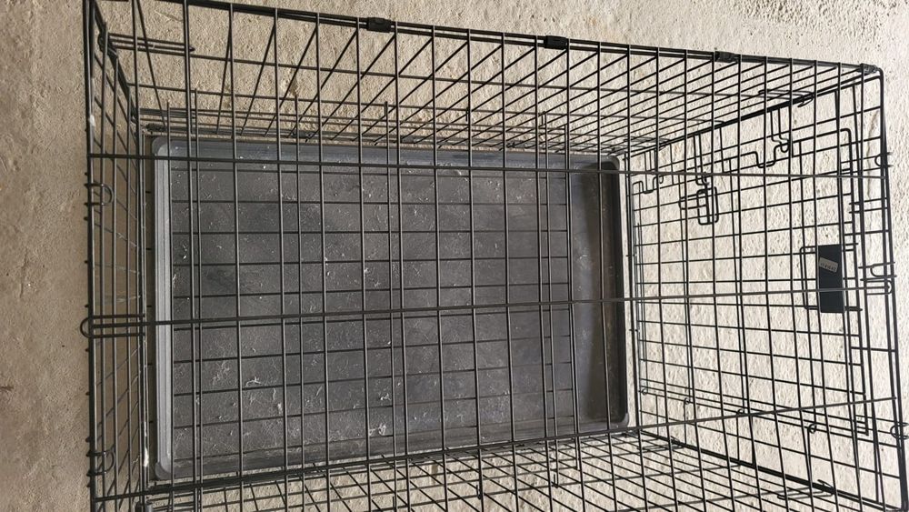 Аксессуары для кошек и котят.