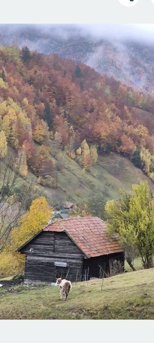 Vand teren intravilan Șimon Bran