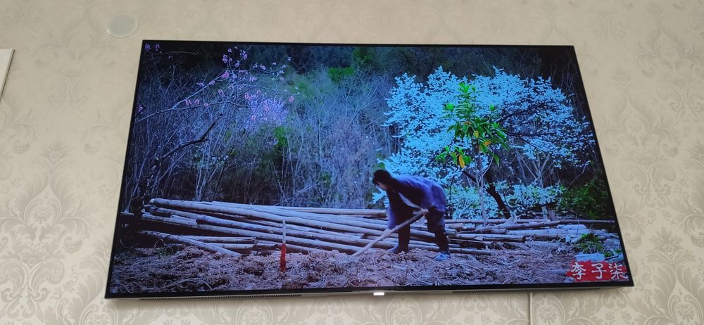 Телевизор LG OLED TV 55